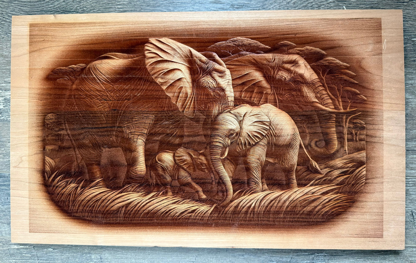 Cherry - 20 x 12 - Elephants 3D
