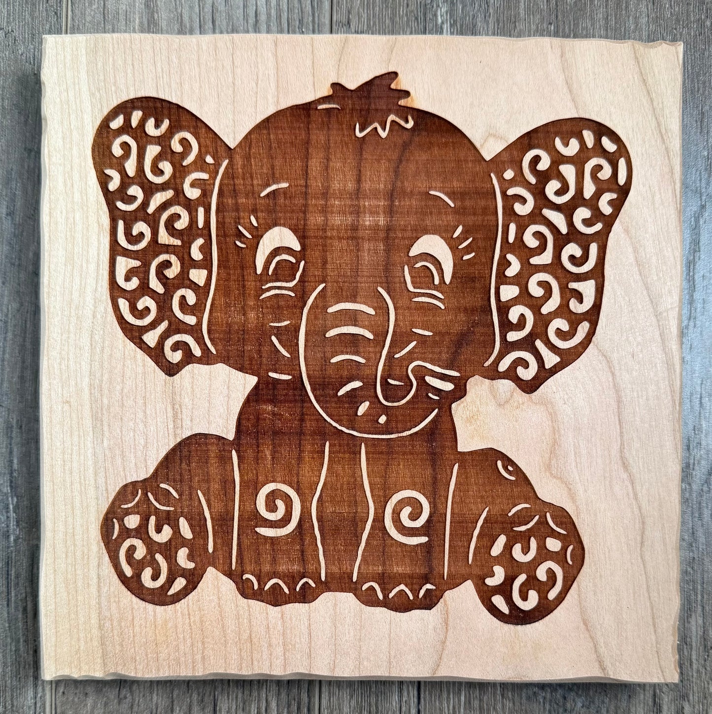 Cherry - 8 x 8 - Elephant