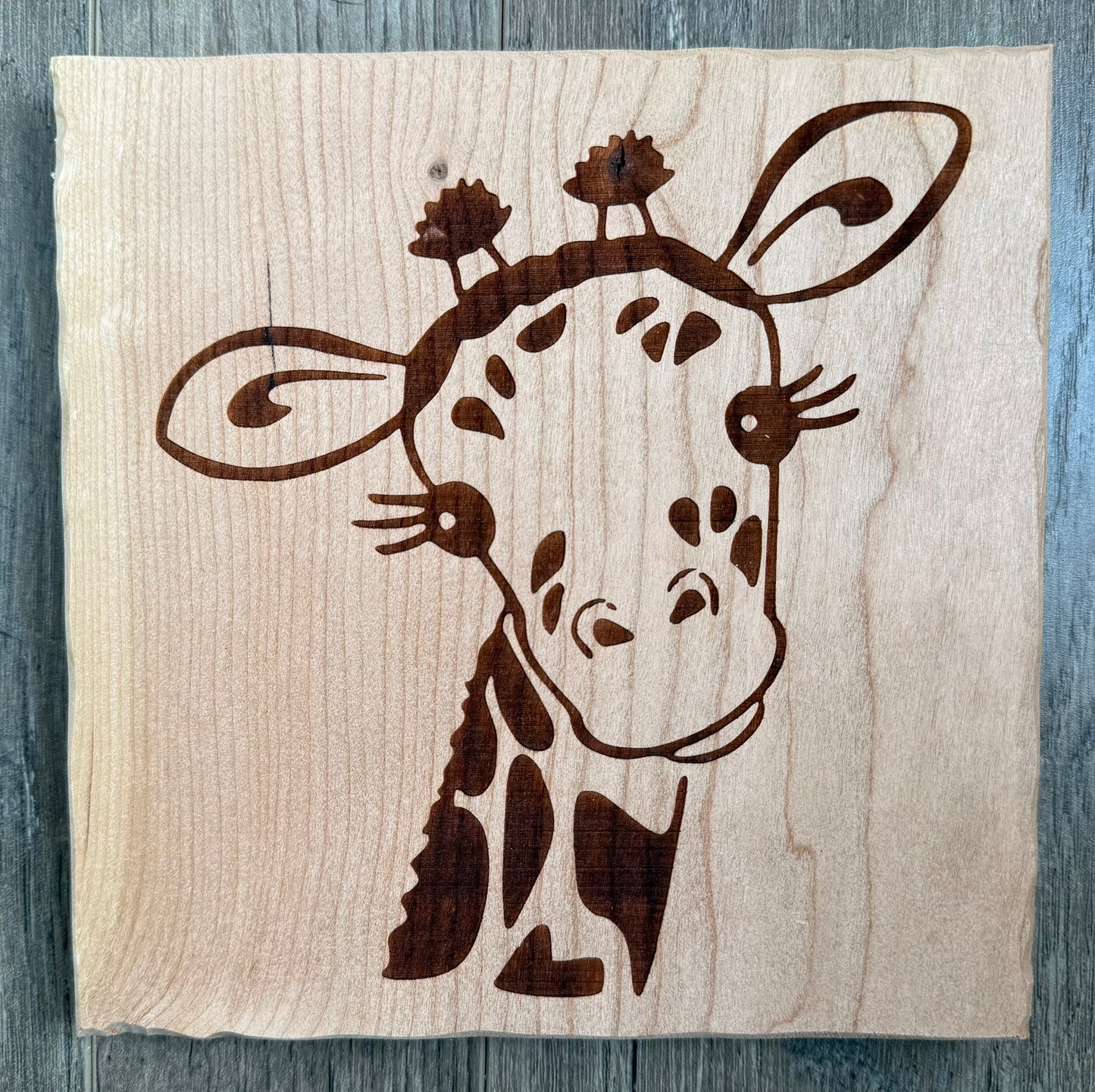Cherry - 8 x 8 - Giraffe