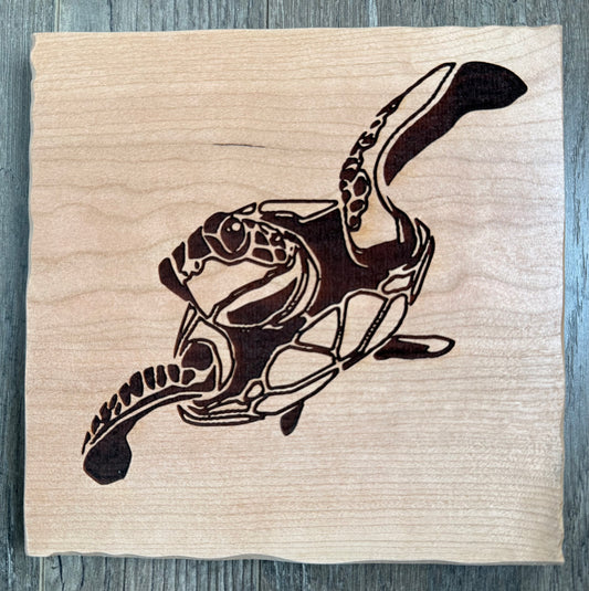 Cherry - 8 x 8 - Turtle