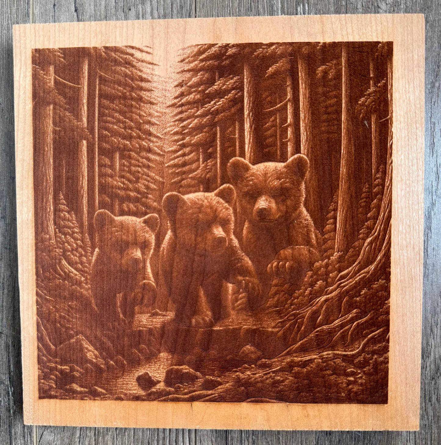 Three bear cubs