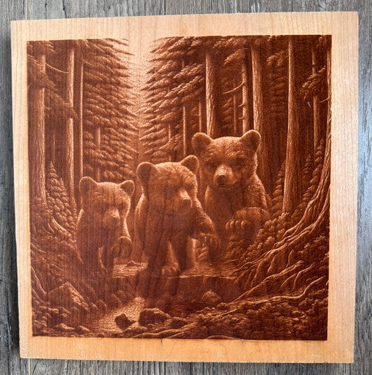 Three bear cubs