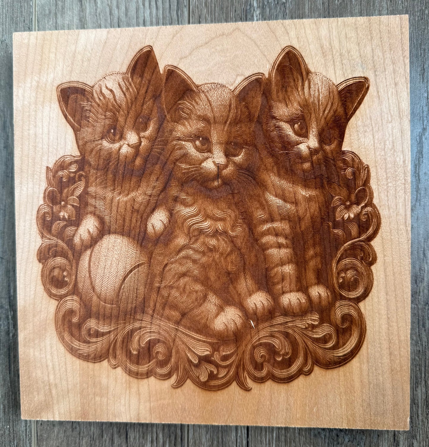 Cherry - 8 x 8 - Kittens 3D
