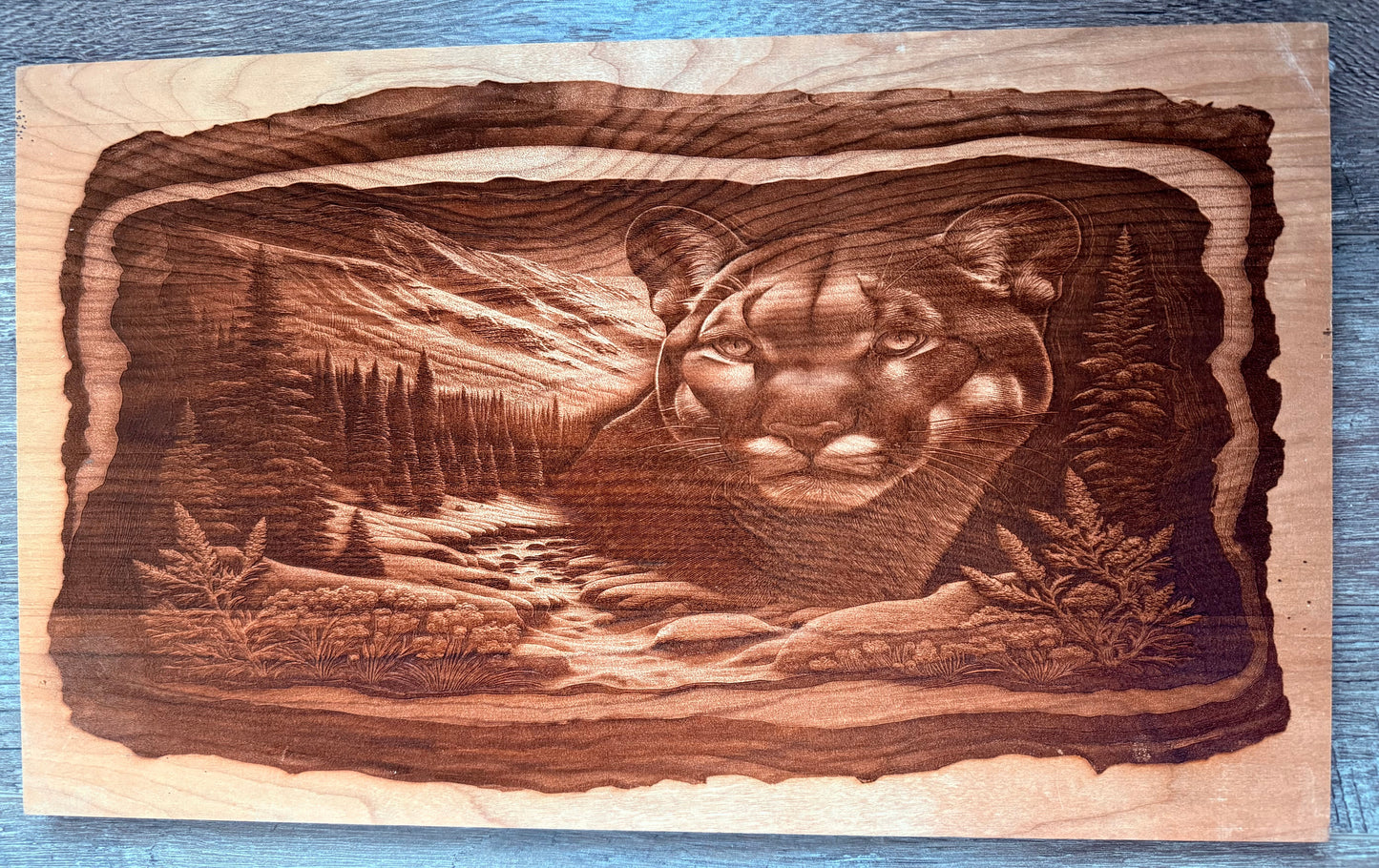 Cherry - 20 x 12 - Cougar 3D